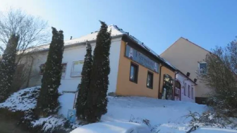 rodinný dům s garáží v obci Dolní Dvořiště, ID 7148e 1405
