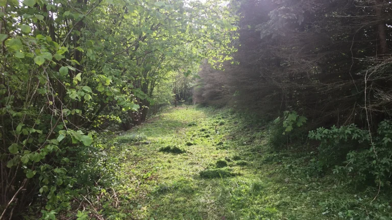 Pronajmu prvorepublikovou zahradu 4000 m2
