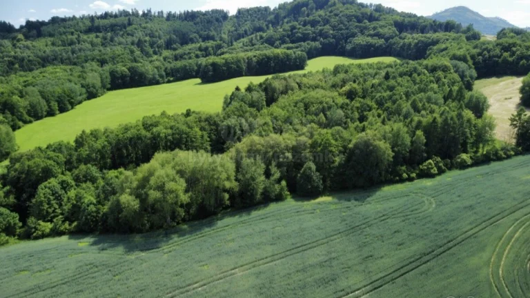 Prodej lesa pole a ostatní plochy 5160 m², Baška Hodoňovice