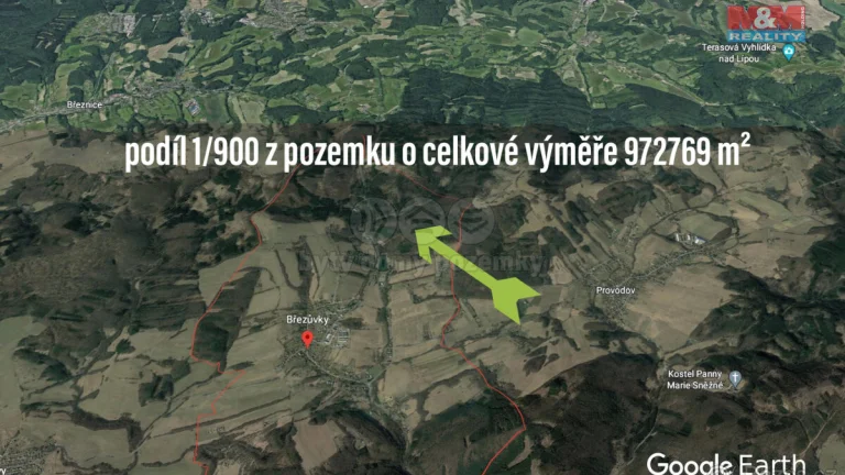 Prodej lesa, 1081 m², Březůvky