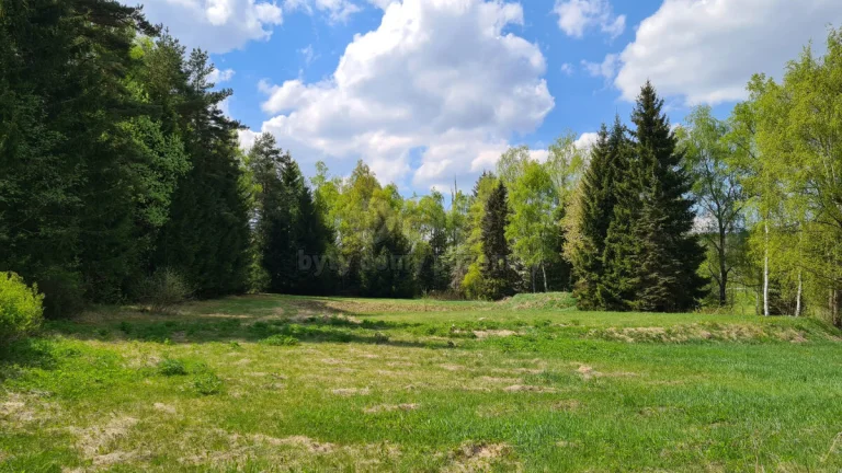 Prodej pozemku k bydlení, 5556 m², Stachy