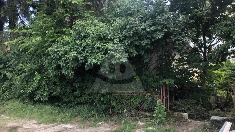 Na predaj pozemok so starým domom v obci Bátorové Kosihy