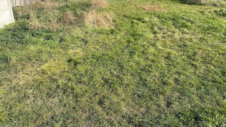 Na predaj stavebný pozemok, Palárikovo