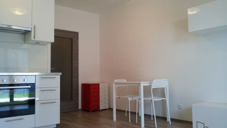 Pronájem bytu 1+kk/T 56 m2 OV Praha 9 - Letňany