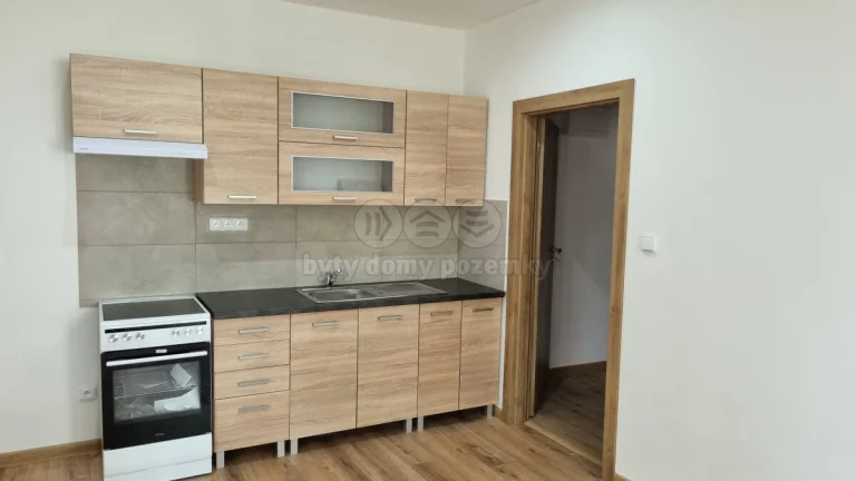 Pronájem bytu 1+1, 60 m2 v Ostravě, ul. Jindřichova
