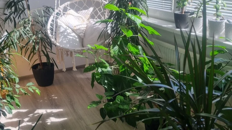 Prenájom veľkého 3,5 izbového bytu