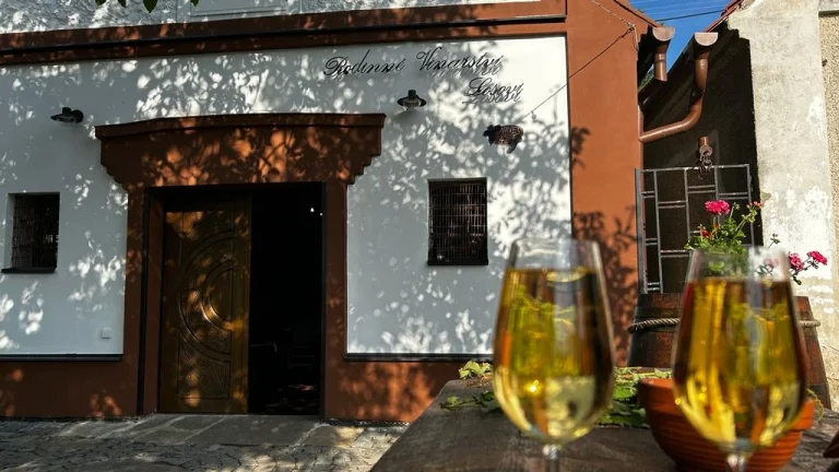 Kúpa Vinice,Viničny domček.