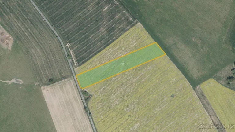 Zemědělská půda, prodej, Číhošť, Havlíčkův Brod