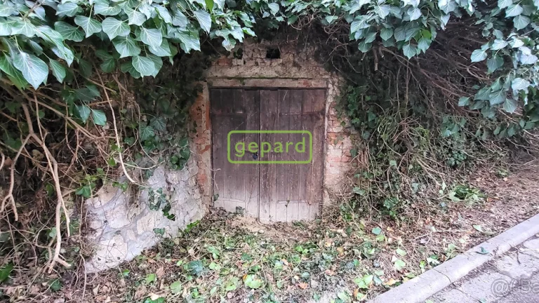 Prodej vinného sklepa, Nejdek u Lednice