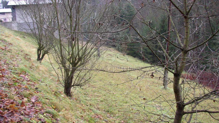 Prodej louky, 1180 m², Vysoké nad Jizerou