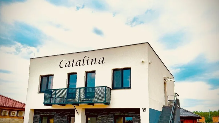 INVESTIČNÁ príležitosť- Rekreačný dom s 3 apartmánmi Nesvady