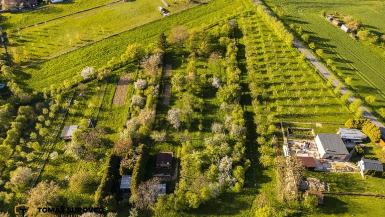 Prodej pozemku , Soběsuky - Milovice