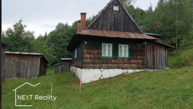 Drevenica v krásnej prírode