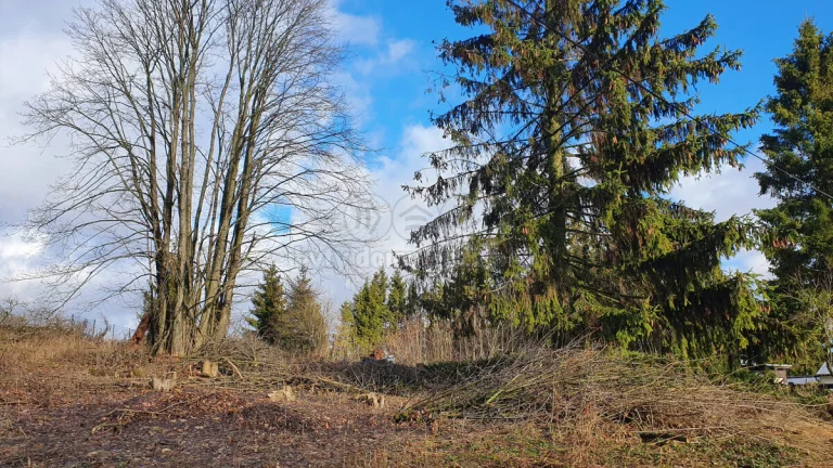 Prodej pozemku k bydlení, 1156 m², Norberčany