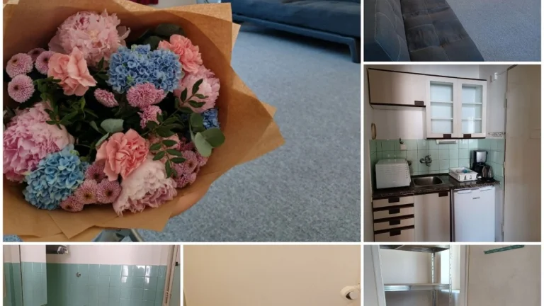 🌿 Byt 1+kk (cca 30 m²) u metra C Pankrác v klidné ulici u p