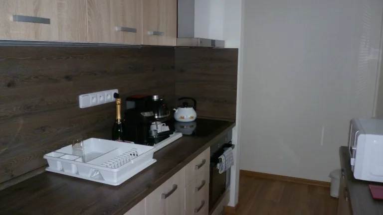 Pronájem 2+1 Čéčova, České Budějovice