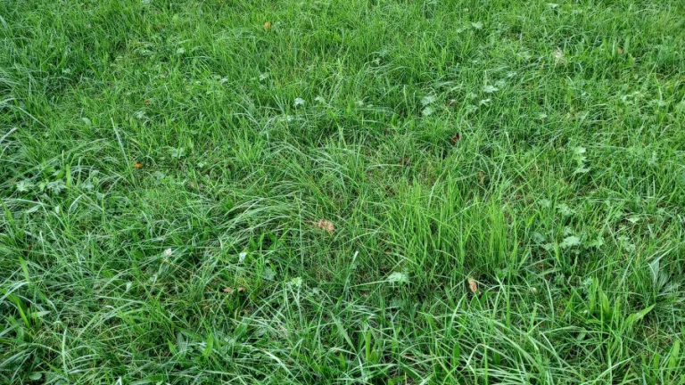 Stavebný pozemok, Hunkovce, okres Svidník