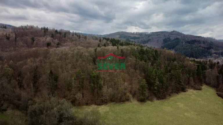 Prodej, lesní pozemek, OV, Boč, Stráž nad Ohří