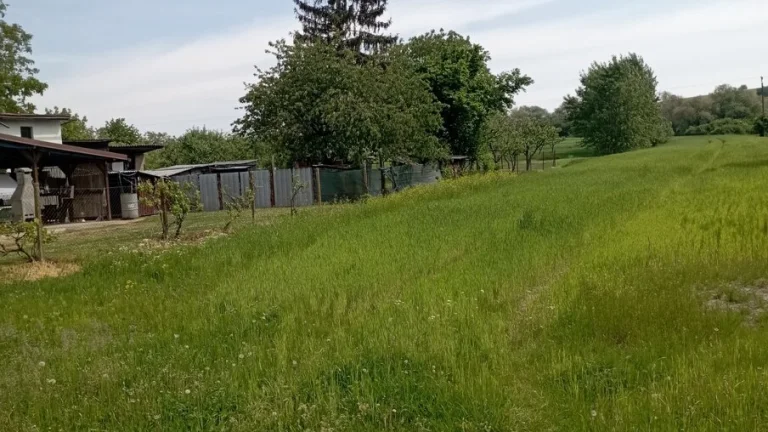 Veľký stav. pozemok, N. Hrušov, 55.000 €