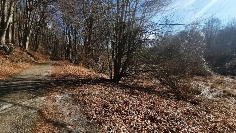 Rekreačný pozemok 5.637 m2 - Košariská PRIEPASNÉ