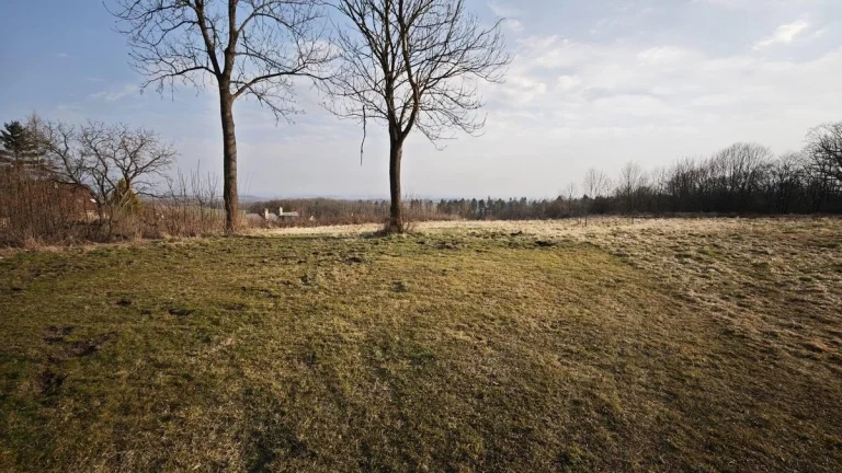 Prodej pozemek Bydlení, 1617㎡