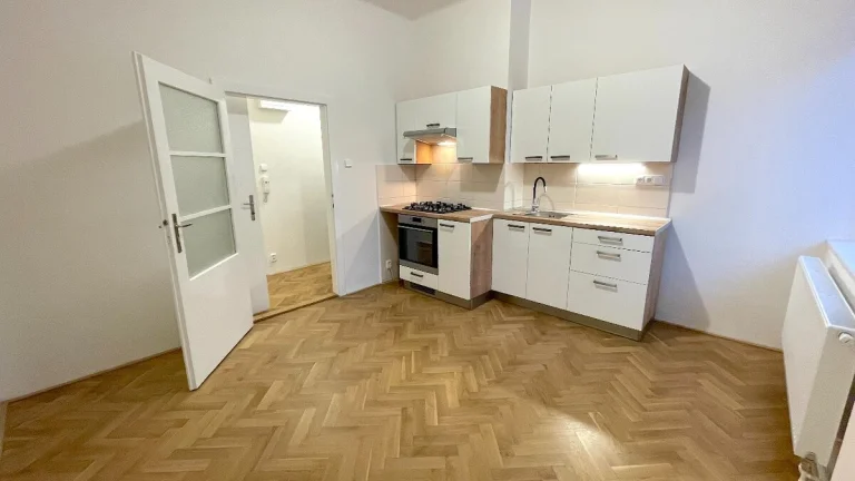 Pronájem 1+kk na ul. Havlišova, Brno - Královo Pole