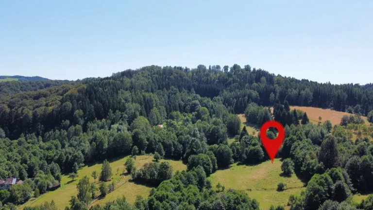 Prodej pozemku 3 446 m2 - Olešnice v Orlických horách