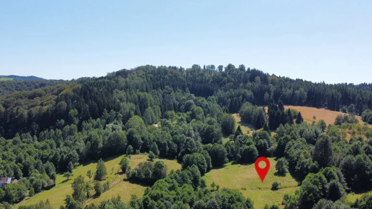 Prodej pozemku 3 027 m2 - Olešnice v Orlických horách