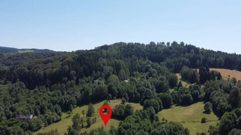Prodej pozemku 2 839 m2 - Olešnice v Orlických horách