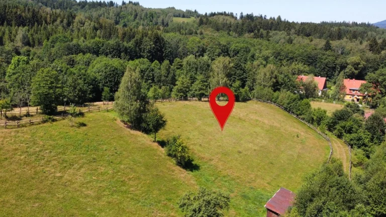 Prodej pozemku 2 456 m2 - Olešnice v Orlických horách