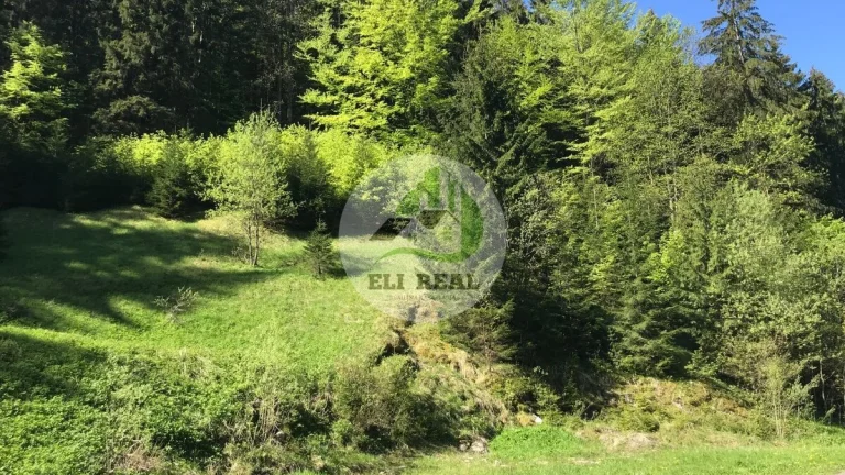 Exkluzívne na predaj stavebný pozemok 3116 m² - Donovaly