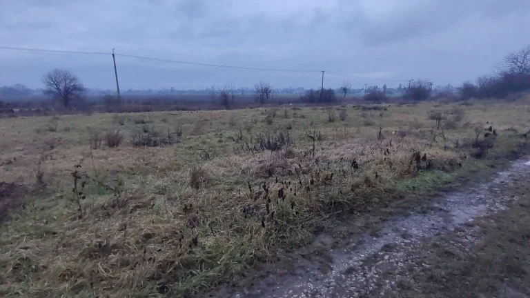 12 arový pozemok za skvelú cenu v obci Branč