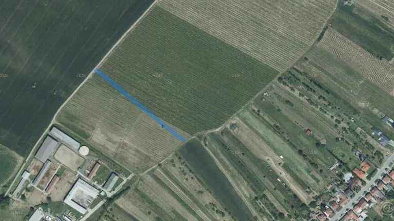 Vinice k.ú. Týnec na Moravě