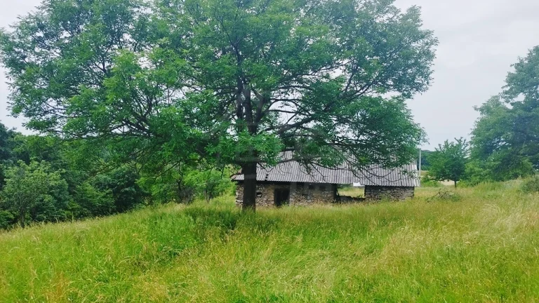 Kamenný dom s 4ha pozemkom v obci Hrušov