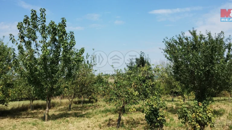Prodej zahrady, 5861 m², Příbor, Klokočov