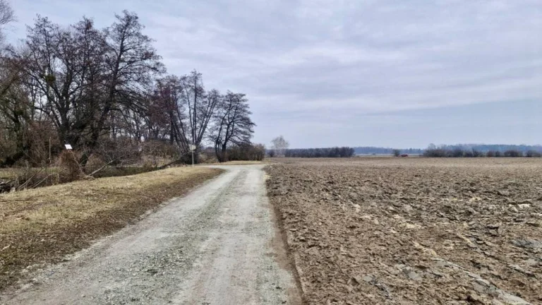 REB.sk – INVESTIČNÝ POZEMOK PRI VODNEJ NÁDRŽI CENTNÚZ 3772m2