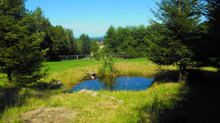 Prodej zahrady, 20749 m², Lhenice, Hoříkovice