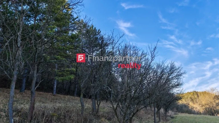 Na predaj pozemok pri lese Brezová pod Bradlom