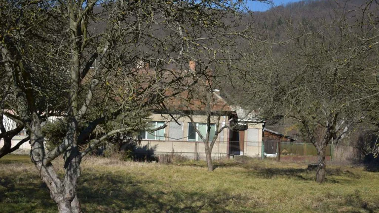 Podnikateľská príležitosť