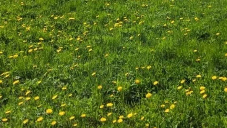 Pozemok na stavbu RD - Ondrašovce