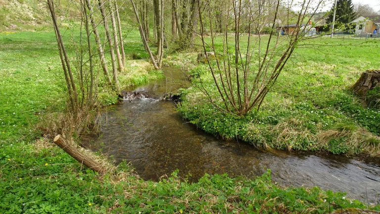 Prodej pozemku, Kvasiny