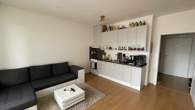 Pronájem novostavby 1 + kk s terasou Čadova, Olomouc