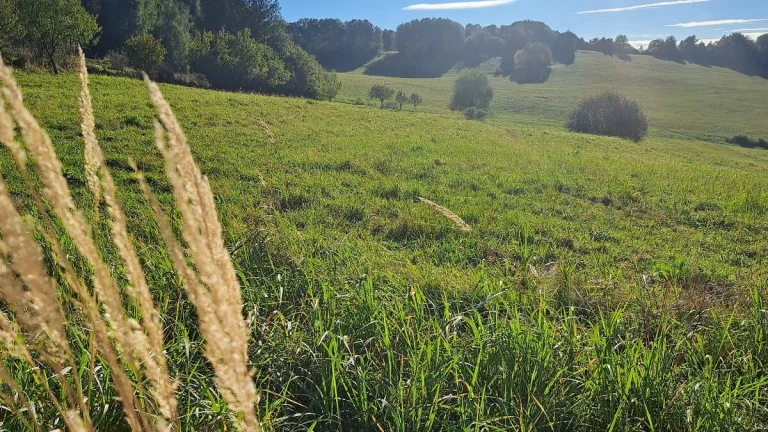 Pozemok Horný Vadičov