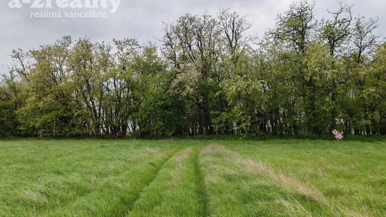 Znížená cena Lesný pozemok pri Komárne na predaj