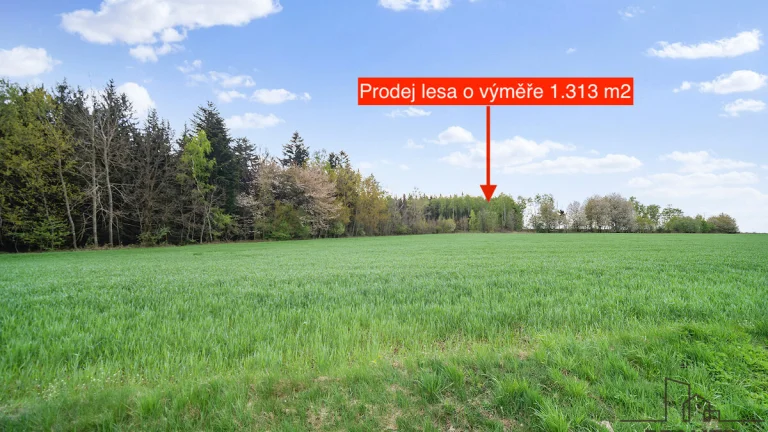 Prodej lesa, 1313m2, Holetín