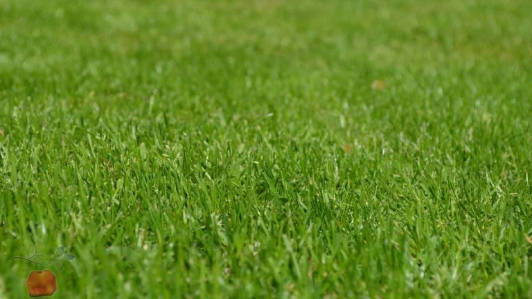 Predám 1602m² pozemok v obci Podhájska