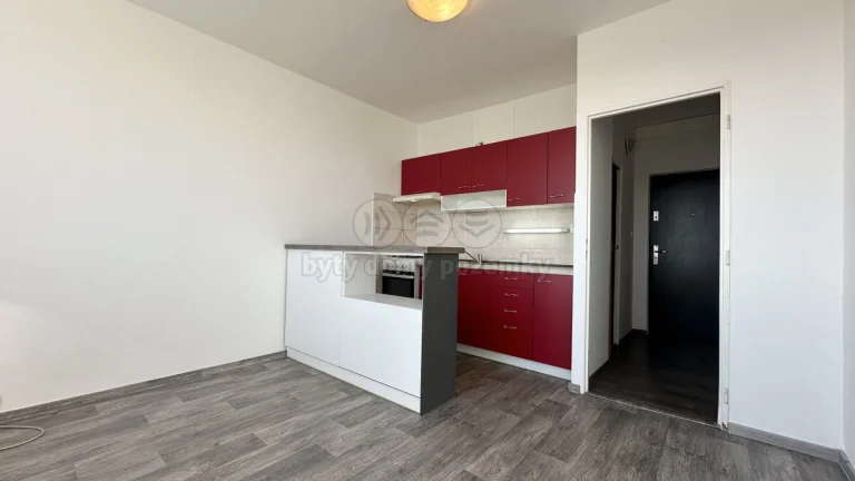 Pronájem bytu 1+1, 36 m², Chomutov, ul. Palackého