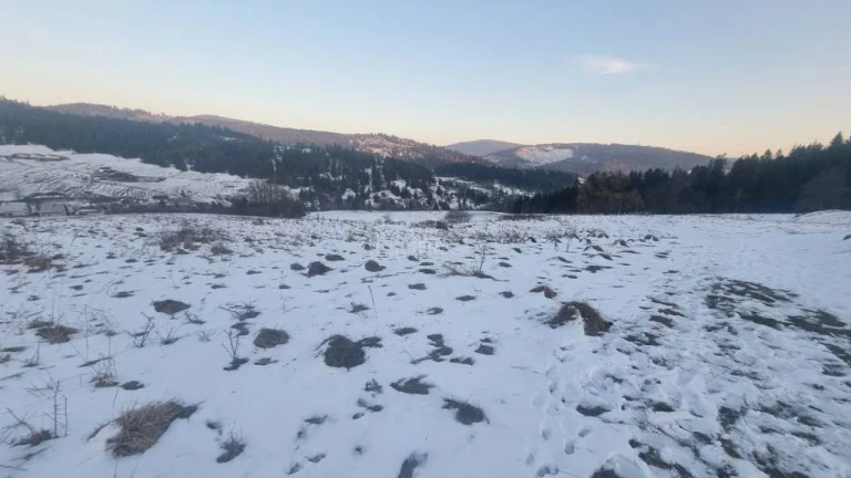 Predaj úžasného pozemku v Oščadnici- Rovniach