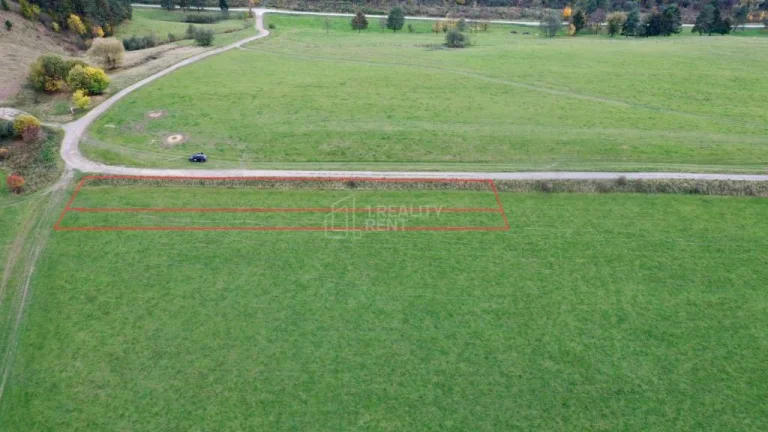 Predaj : Investičné pozemky v obci Dolná Tižina 1660 m2 a 31