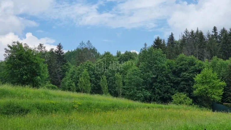 Exkluzívna ponuka predaja stavebného pozemku v Čadci- Rieke